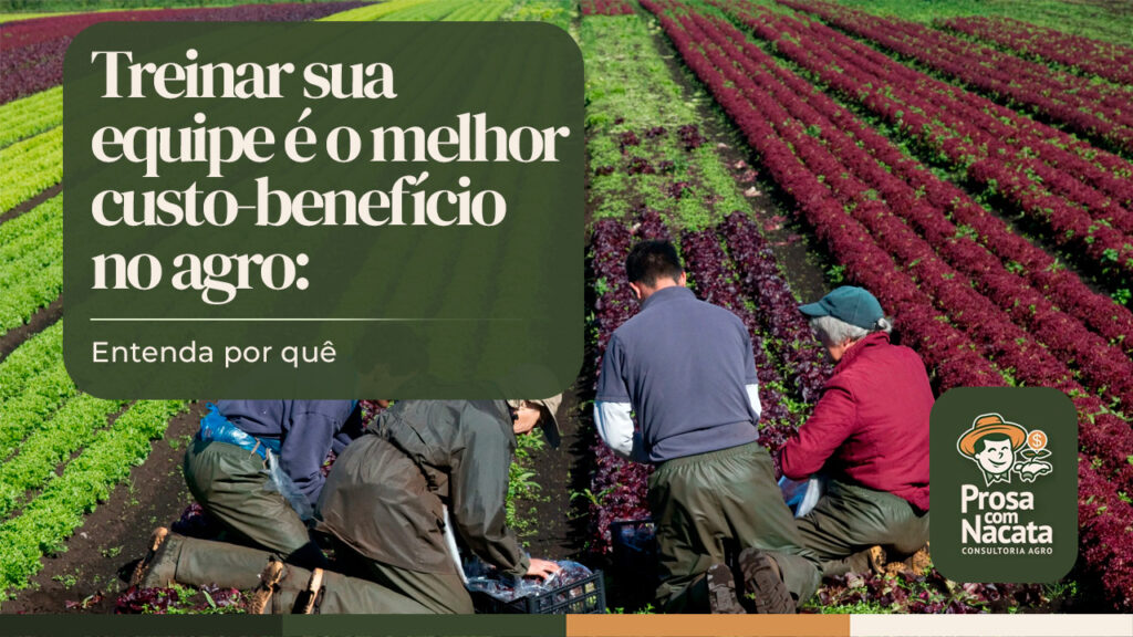 Treinar sua equipe é o melhor custo-benefício no agro: entenda por quê
