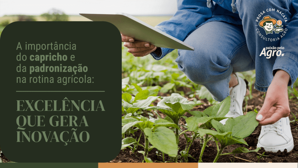 A importância do capricho e da padronização na rotina agrícola: excelência que gera inovação