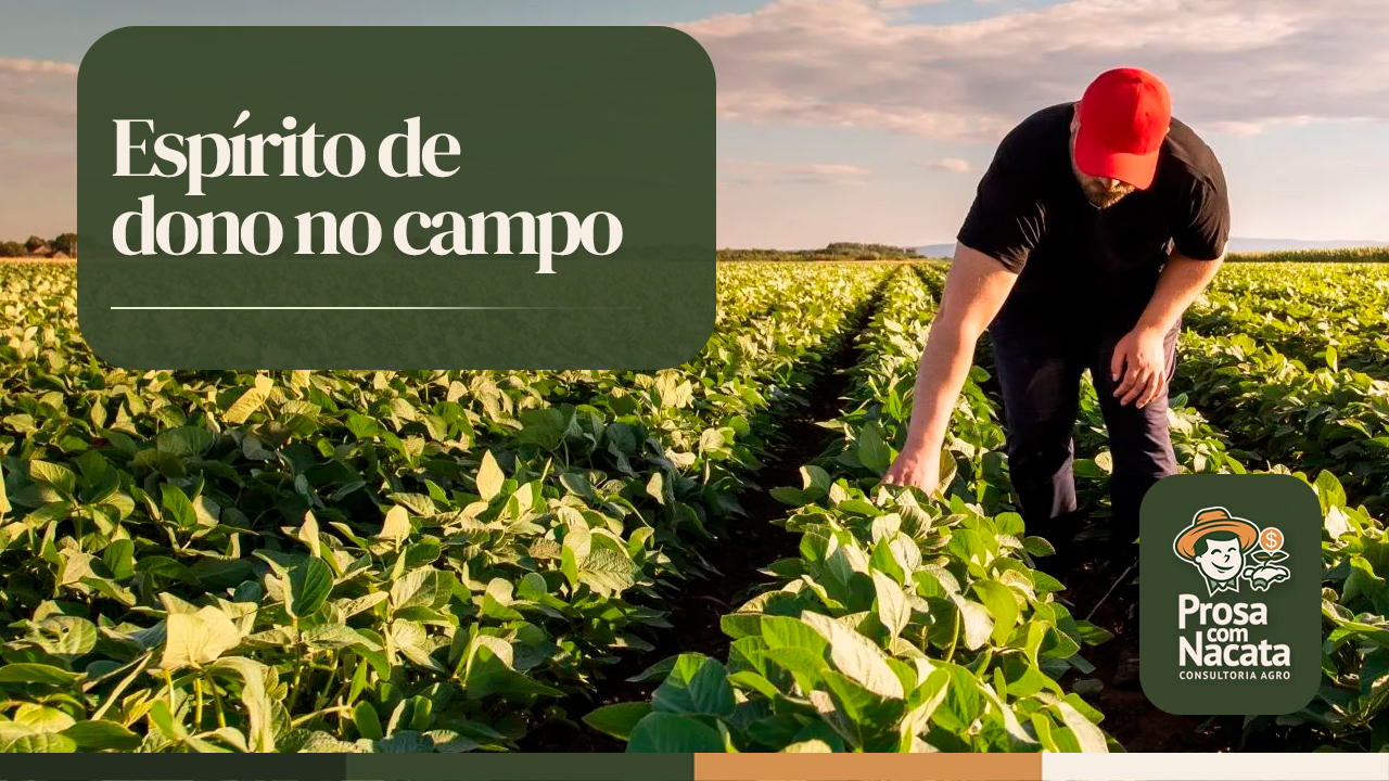 Espírito de dono no campo