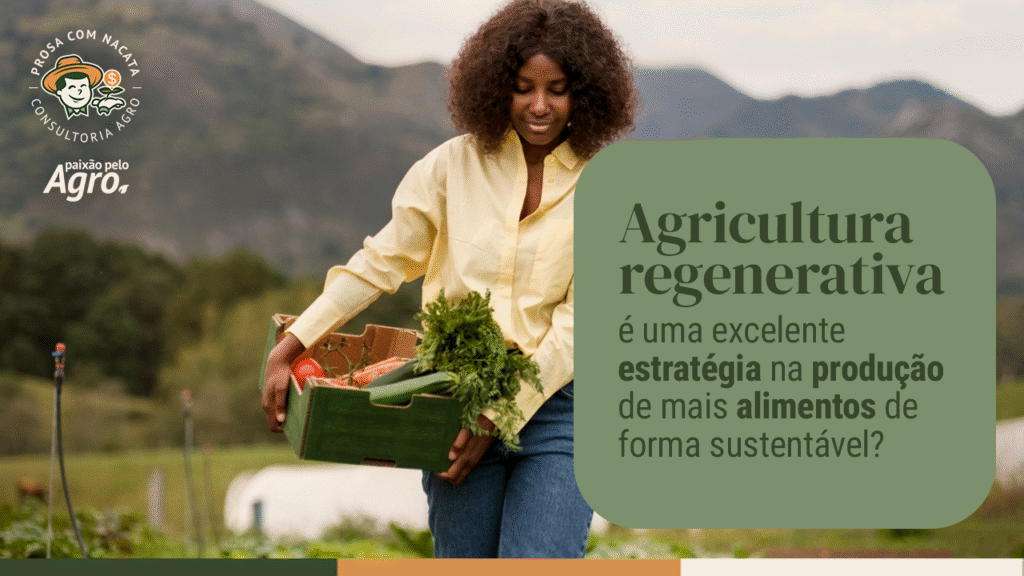 Agricultura regenerativa é uma excelente estratégia na produção de mais alimentos de forma sustentável?