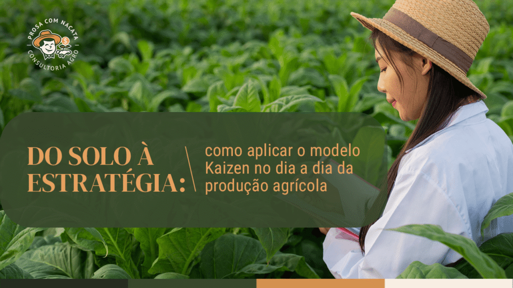 Do solo à estratégia: como aplicar o modelo Kaizen no dia a dia da produção agrícola