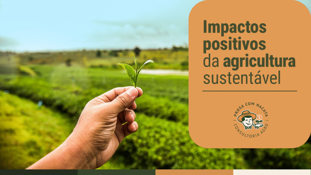 Impactos positivos da agricultura sustentável