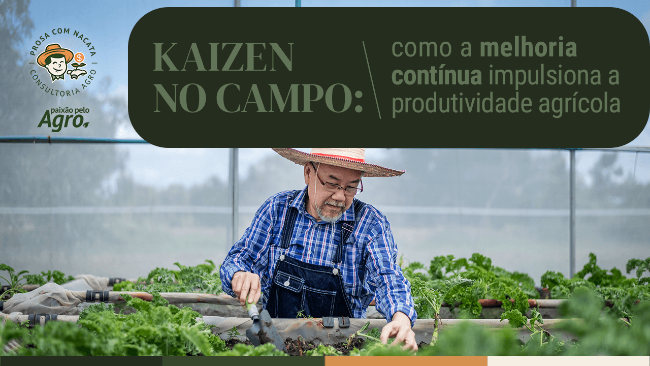 Kaizen no campo