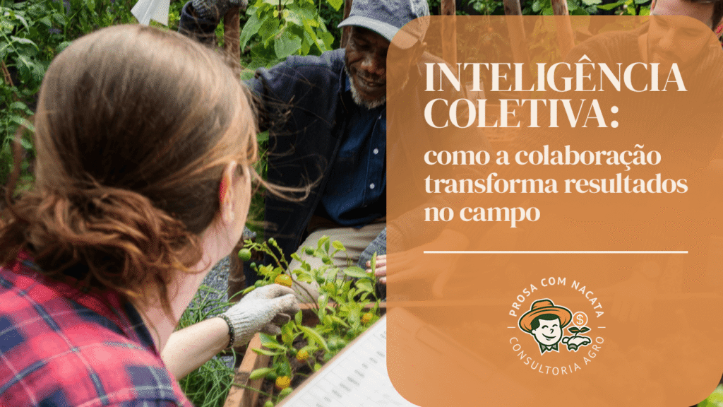 Inteligência coletiva no agronegócio