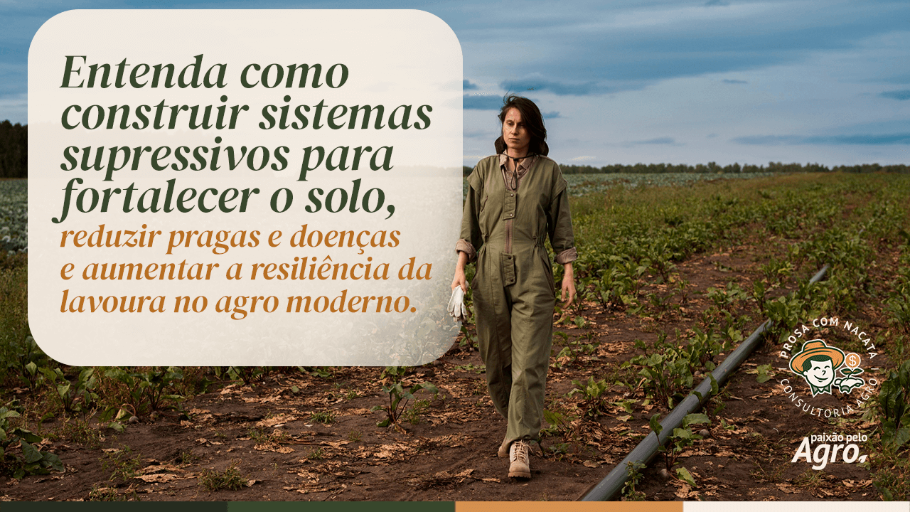 Como construir sistemas supressivos e garantir lavouras mais saudáveis