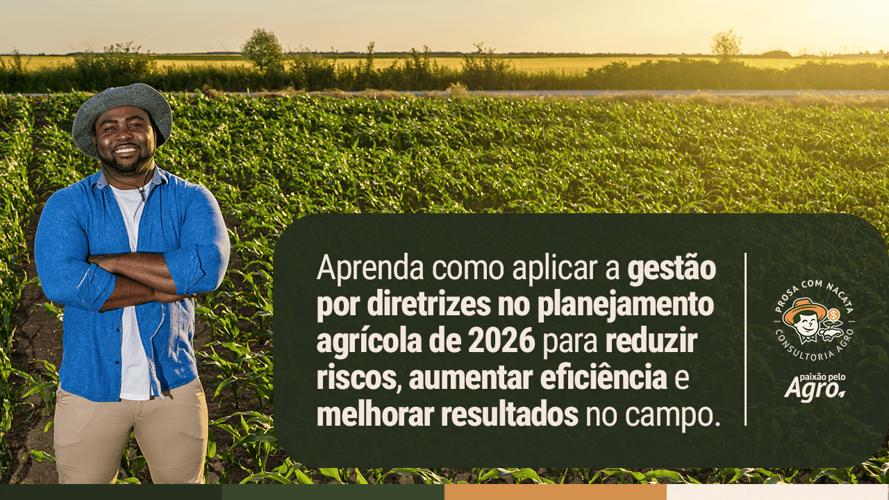 Planejamento agrícola 2026
